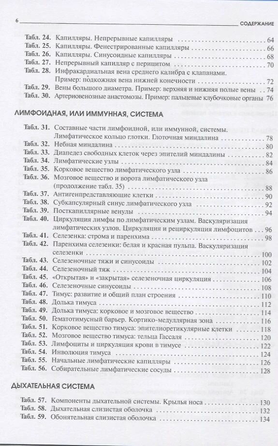 Атлас микроскопической анатомии человека. Учебное пособие - фото №3
