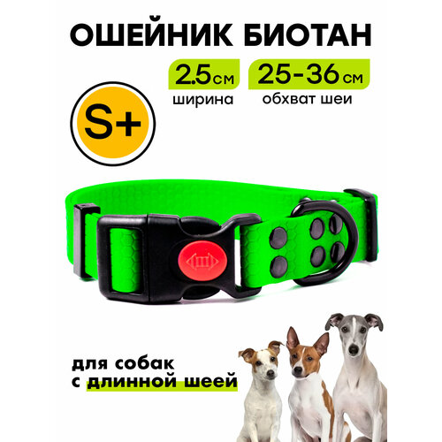 Ошейник из биотана 25-36 см (S+), 25 мм, Woofy "Iron", водостойкий, для небольших и средних собак, зеленый