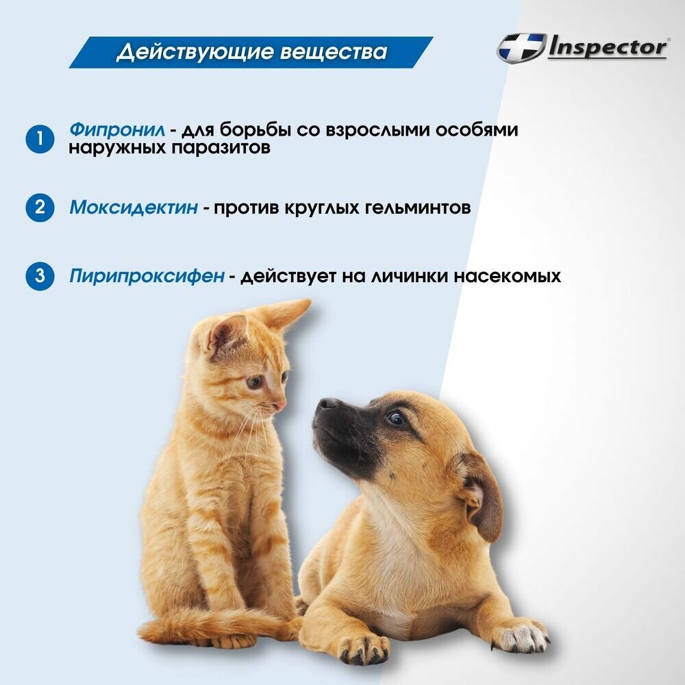 Инспектор спрей для кошек и собак против блох и клещей (100 мл.) — фото 1