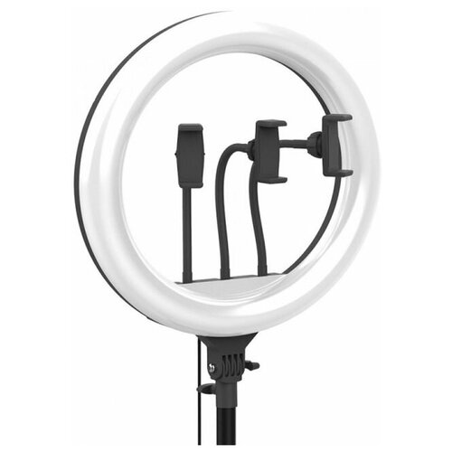 Кольцевая светодиодная лампа LED filling lamp ZB-F348 Ging Light 45 см пульт ДУ в комплекте 408 светодиодов 80Вт 3 держателя для смартфонов 468000₽