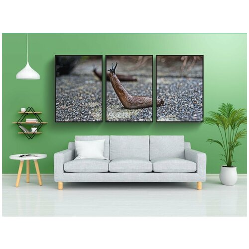 фото Набор модулных постеров для интерьера "слизняк, природа, улитка" 60x90 см. в тубусе, без рамки lotsprints