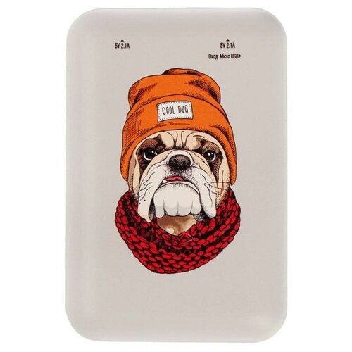 Внешний аккумулятор Ritmix RPB-10007 10000 мАч 2хUSB 21 А бульдогВ упаковке шт 1 238200₽