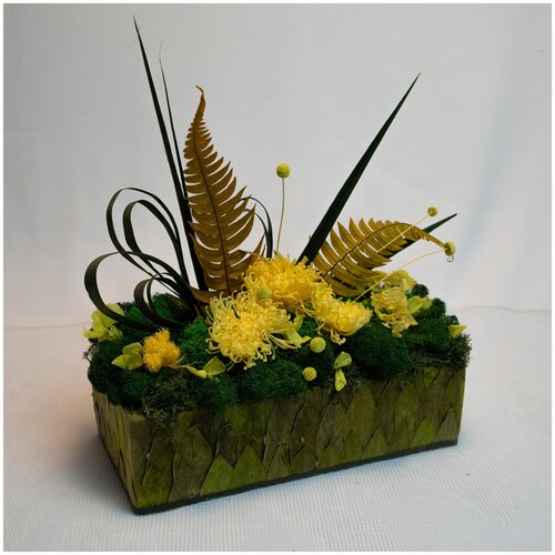 Интерьерная композиция из стабилизированного мха и георгин | VeGa Flowers Gallery