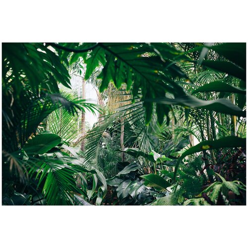 Фотообои Уютная стена В ботаническом саду 410х270 см Виниловые Бесшовные (единым полотном)