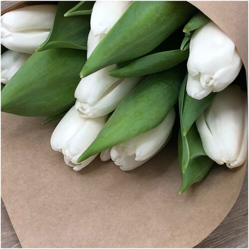 Букет белых тюльпанов в крафтовой бумаге, 9 шт.
