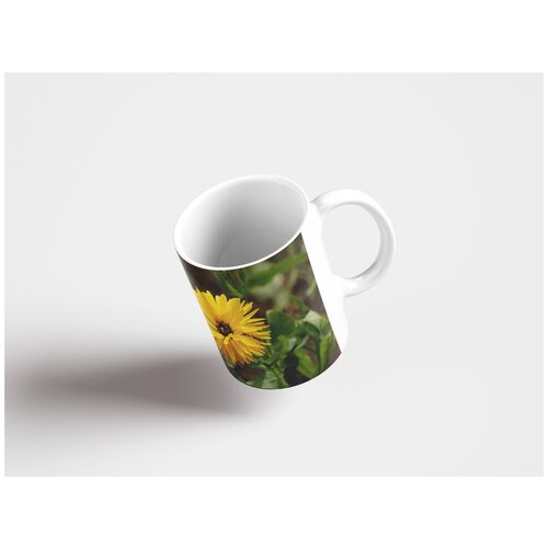 фото Кружка "карликовая тюльпан, цвести, март солнце 320 мл. белая lotsprints