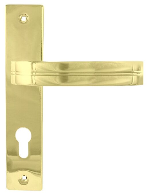 Ручки дверные на планке Нора-М 106-70 мм - Золото - фотография № 1