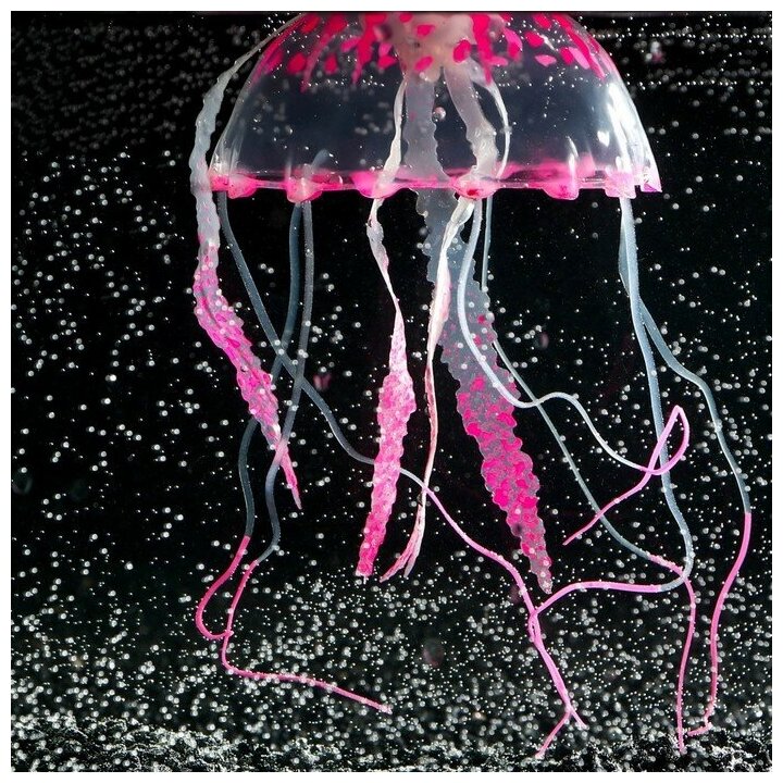Декор для аквариума"Медуза" силиконовая, с неоновым эффектом, 10 х 10 х 20,5 см, розовая 7108871 . - фотография № 4