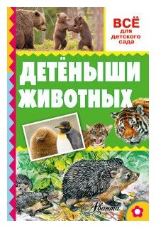 Книга ЭКСМО "Всё для детского сада. Детёныши животных" (А. В. Тихонов) 978-5-17-094459-0