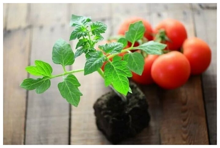 Удобрение Биона для томатов ОМУ 0.5 кг - фотография № 3