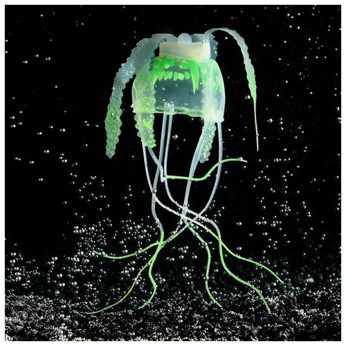 Декор для аквариума 