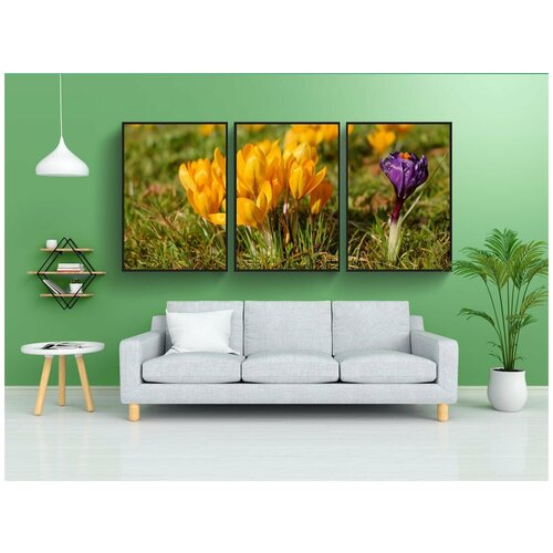 фото Набор модулных постеров для интерьера "крокусы, цветок, весенние цветы" 60x90 см. в тубусе, без рамки lotsprints