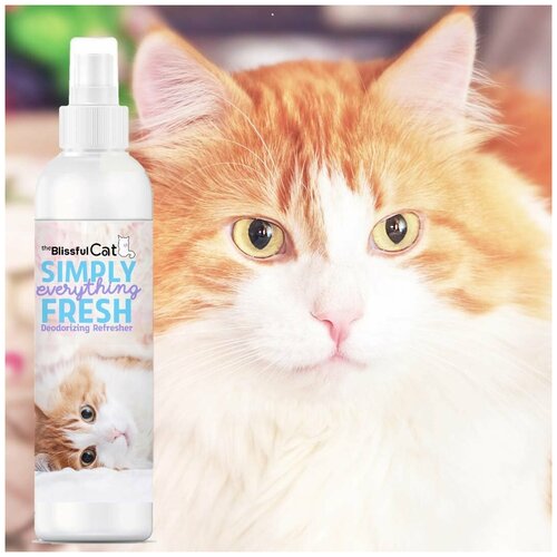 Спрей дезодорирующий Simply Fresh, The Blissful Cat (товары для животных, 30982, 118 мл) кореопсис руби ред