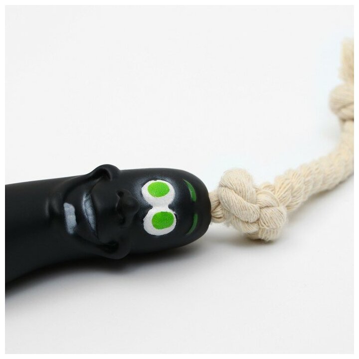 Игрушка "Обугленная сосиска на верёвке" для собак, 14 см, чёрная - фотография № 1