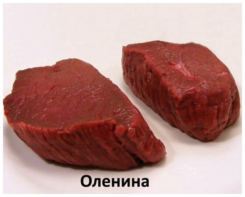 Alleva Equilibrium Cat сухой корм для взрослых кошек с олениной, Adult Sensitive Venison, 10 кг - фотография № 3