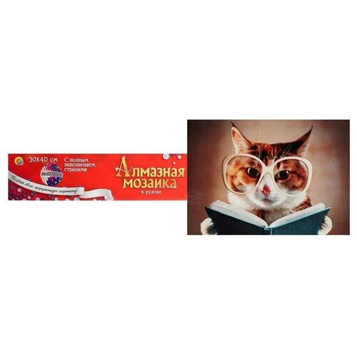 фото Рыжий кот алмазная мозаика 30?40 см, классическая, полное заполнение, б/ подрамника, «кот с книгой