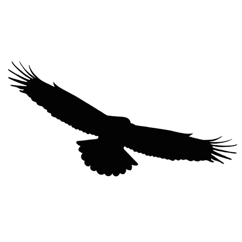 Наклейки-стикеры: силуэты хищных птиц (21 x 30) см - V9