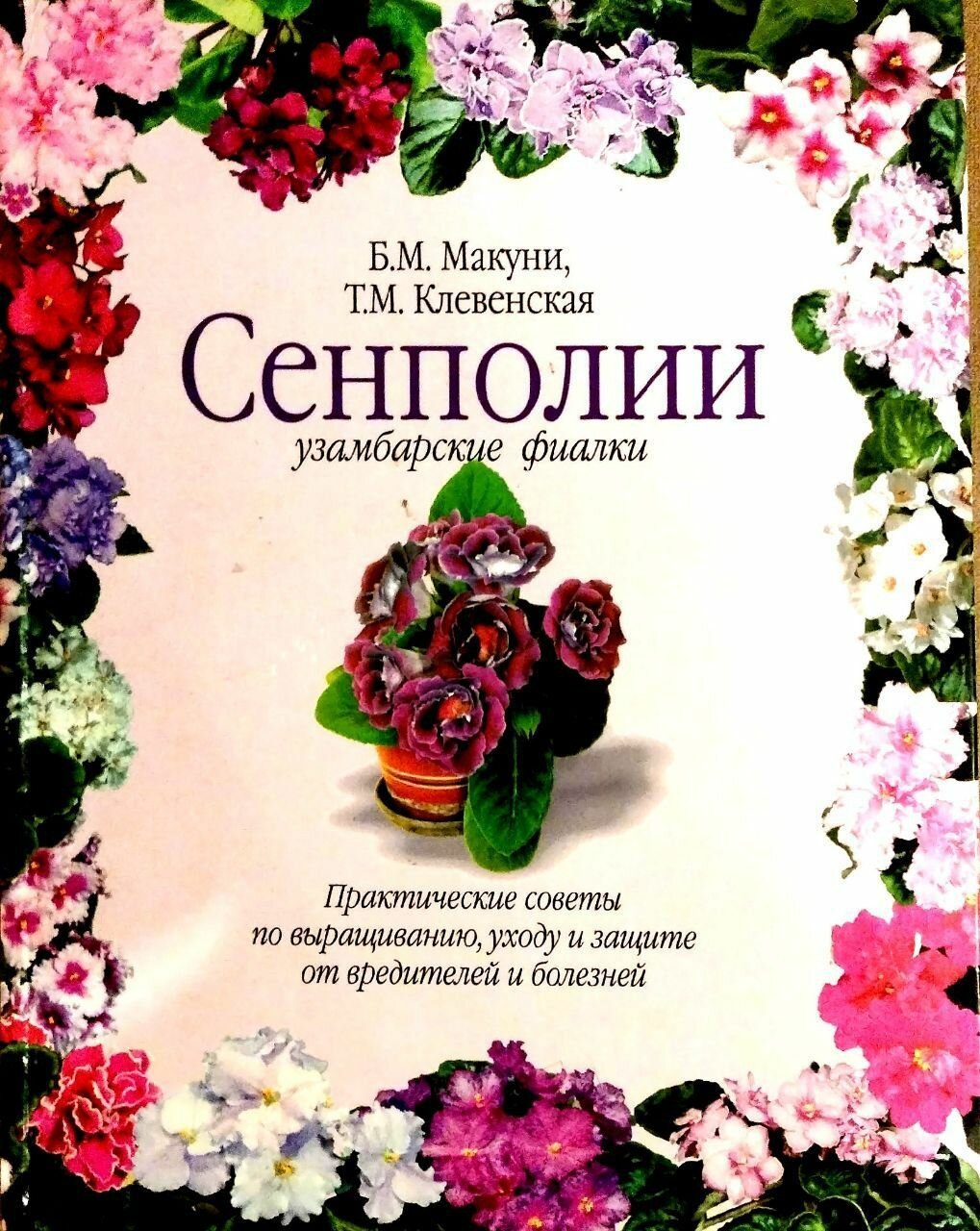 Сенполии узамбарские фиалки