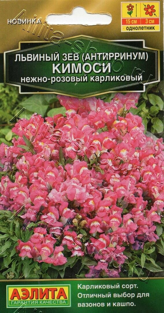 Львиный зев (антирринум) карликовый Кимоси нежно-розовый. семена ( 3 упаковки )
