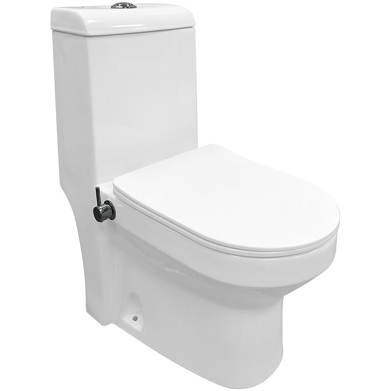 Унитаз моноблок с функцией биде Azario Brusco AZ-1085B с бачком и сиденьем Микролифт