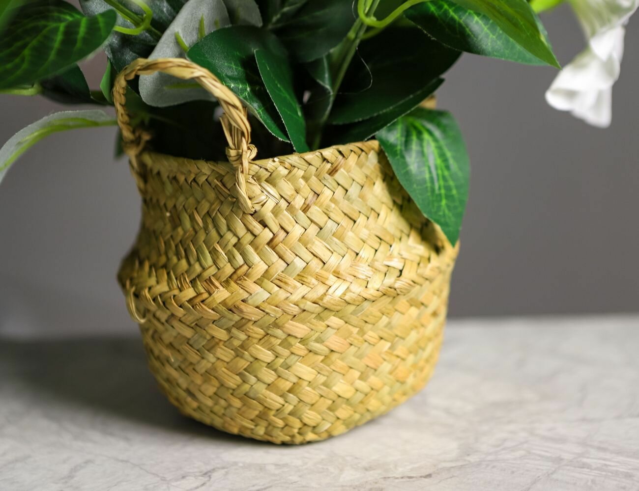 Искусственный цветок в горшке гибискус белый, 35х20 см, Koopman International 317221240-1 — фото 1