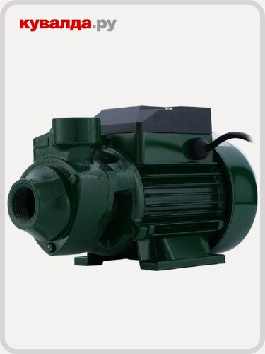 Изображение товара Насос поверхностный OASIS P(S)-550V