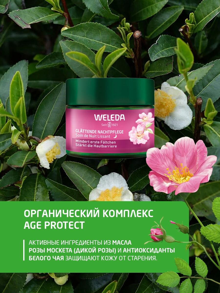 Weleda Разглаживающий ночной крем для лица с маслом семян розы москета, 40 мл — фото 1