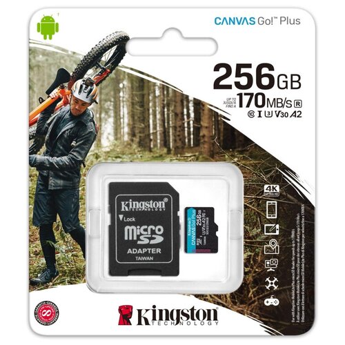 Карта памяти Kingston Canvas Go! Plus microSDXC UHS-I Cl10+ад (SDCG3/256Gb) карта памяти kingston canvas go plus microsdxc uhs i cl10 sdcg3 256gbsp