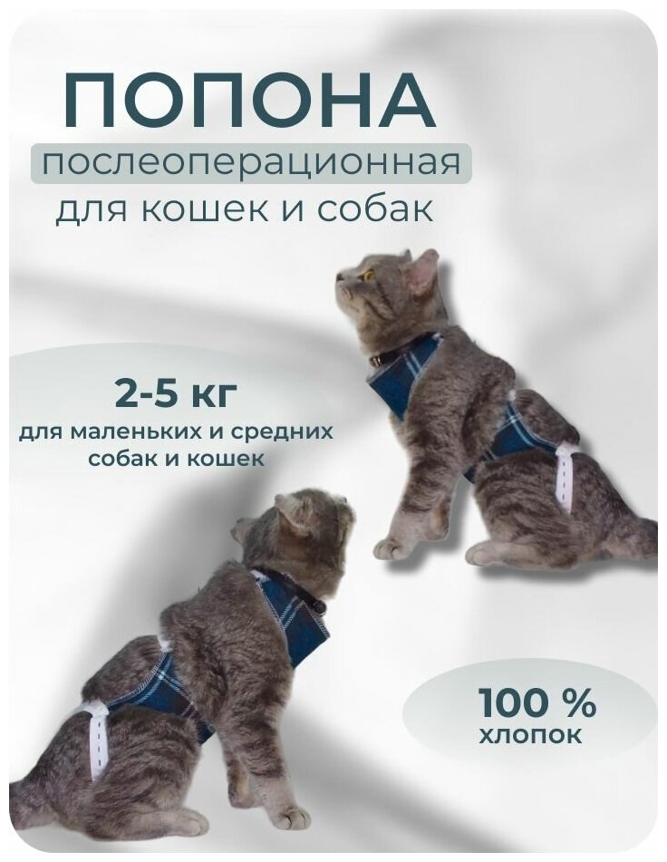 Попона для кошек и собак послеоперационная, вес животного - 2-5 кг, зеленая