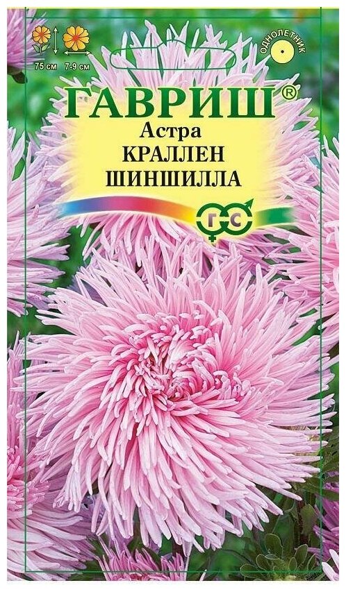 Семена Астра Краллен Шиншилла; однолетняя (коготковая нежно-розовая) 03 г