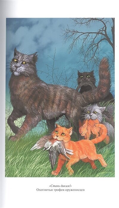 Книга Коты-воители. Стань диким! Огонь и лед - фото №2