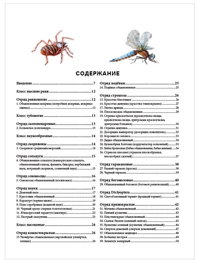 Насекомые. Иллюстрированная энциклопедия начинающего энтомолога. 240 популярных видов - фото №15