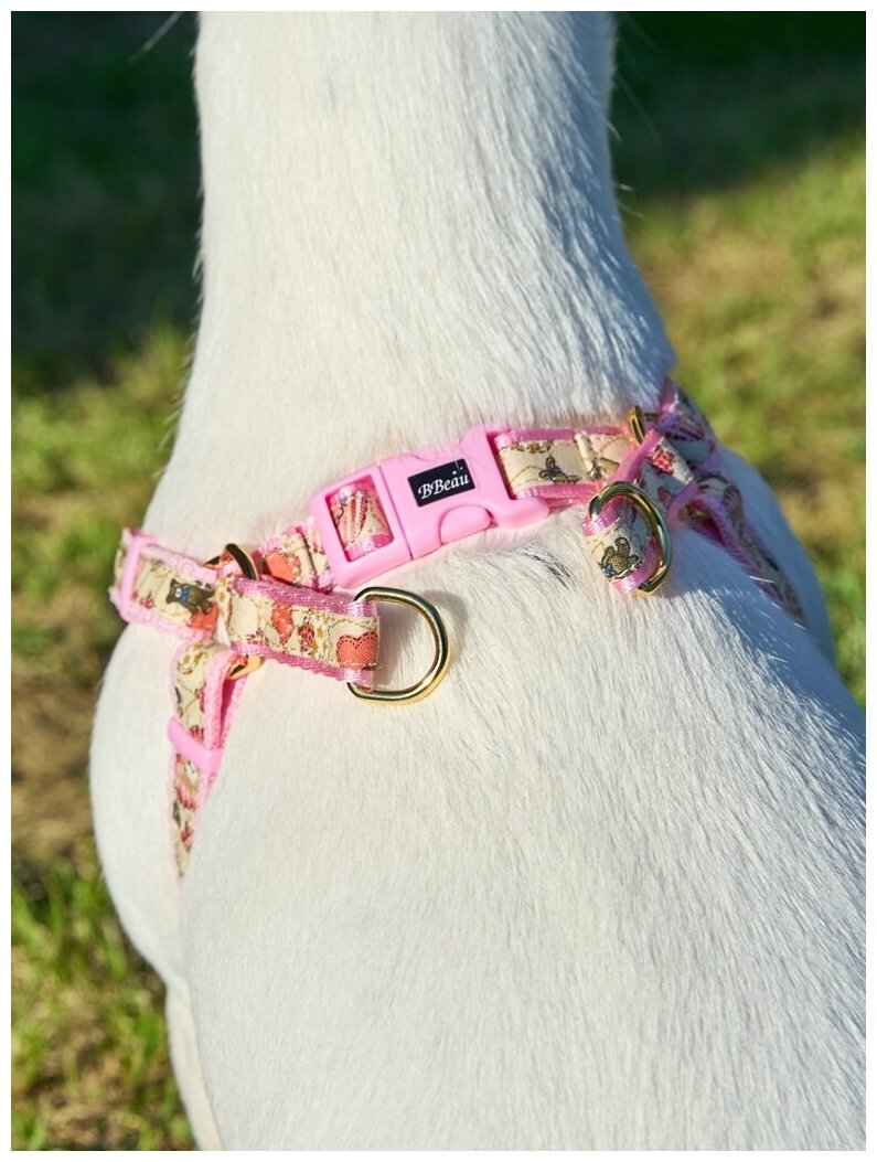 Шлейка для собак Japan Premium Pet / шлейка буржуа для собак мелких пород, цвет розовый, размер SS - фотография № 6