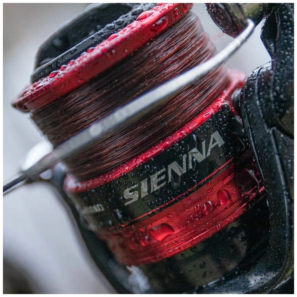 Катушка SHIMANO SIENNA 4000 - фотография № 7