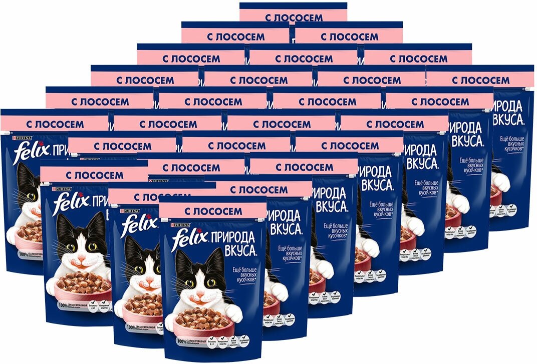 Felix Природа Вкуса влажный корм для взрослых кошек, с лососем в соусе (26шт в уп) 75 гр - фотография № 11