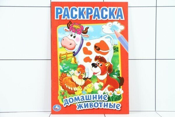 Раскраска Умка Домашние животные - фото №11