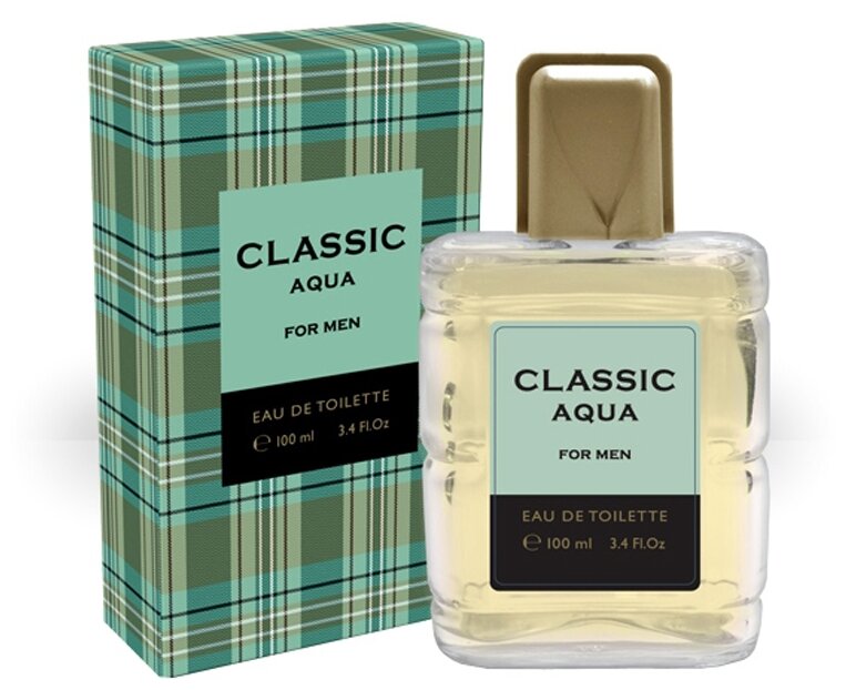 TODAY PARFUM Туалетная вода мужская Classic Aqua, 100 мл (по мотивам Acqua Di Gio (G.Armani)