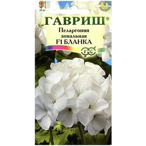 пеларгония зональная бланка f1 4 шт Пеларгония зональная Бланка F1, 4 шт.