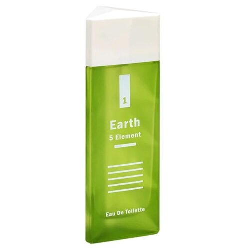 Купить Positive Женский 5 Element Earth Туалетная вода (edt) 100мл, Evro Parfum