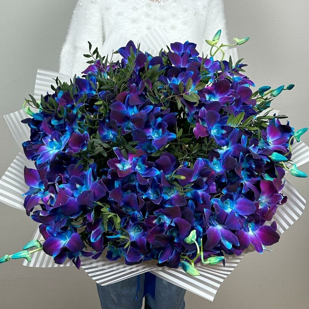Букет из синих орхидей Космос в руках XXL. Букет AR0424 ALMOND ROSES