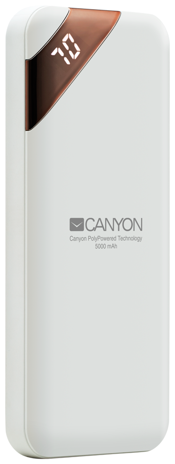 Внешний аккумулятор (Power Bank) Canyon PB-54, 5000мAч, белый [cne-cpbp5w]