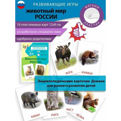 Набор развивающих карточек Домана 