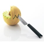 Нож клинок для бахчевых, нож для карвинга - изображение