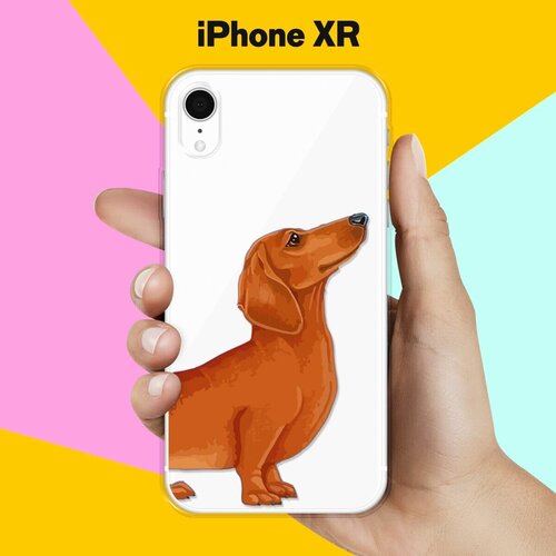      Apple iPhone Xr