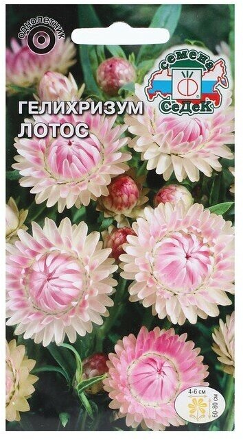 Семена цветов Гелихризум "Лотос "0.2 г