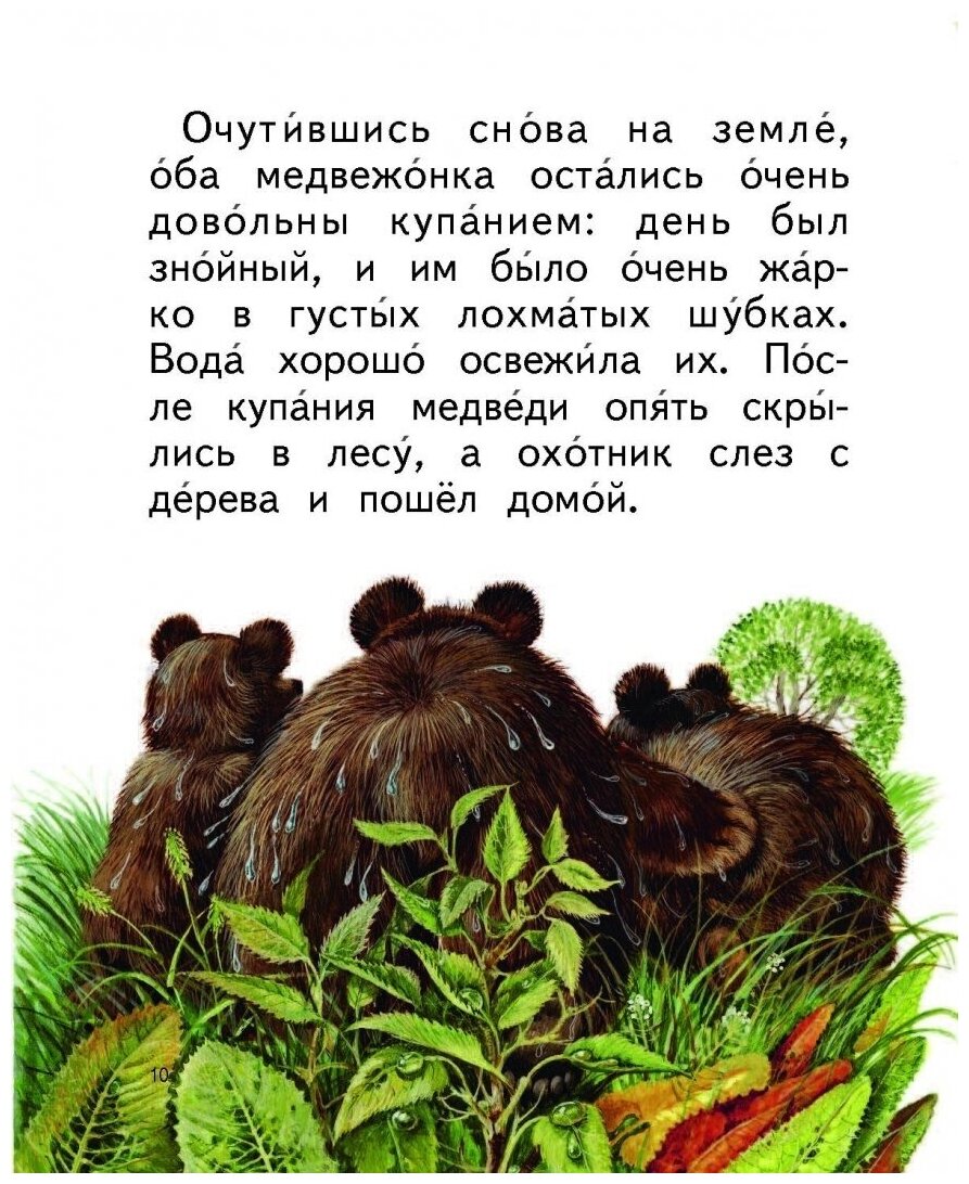 Бианки купание медвежат читать полностью с картинками