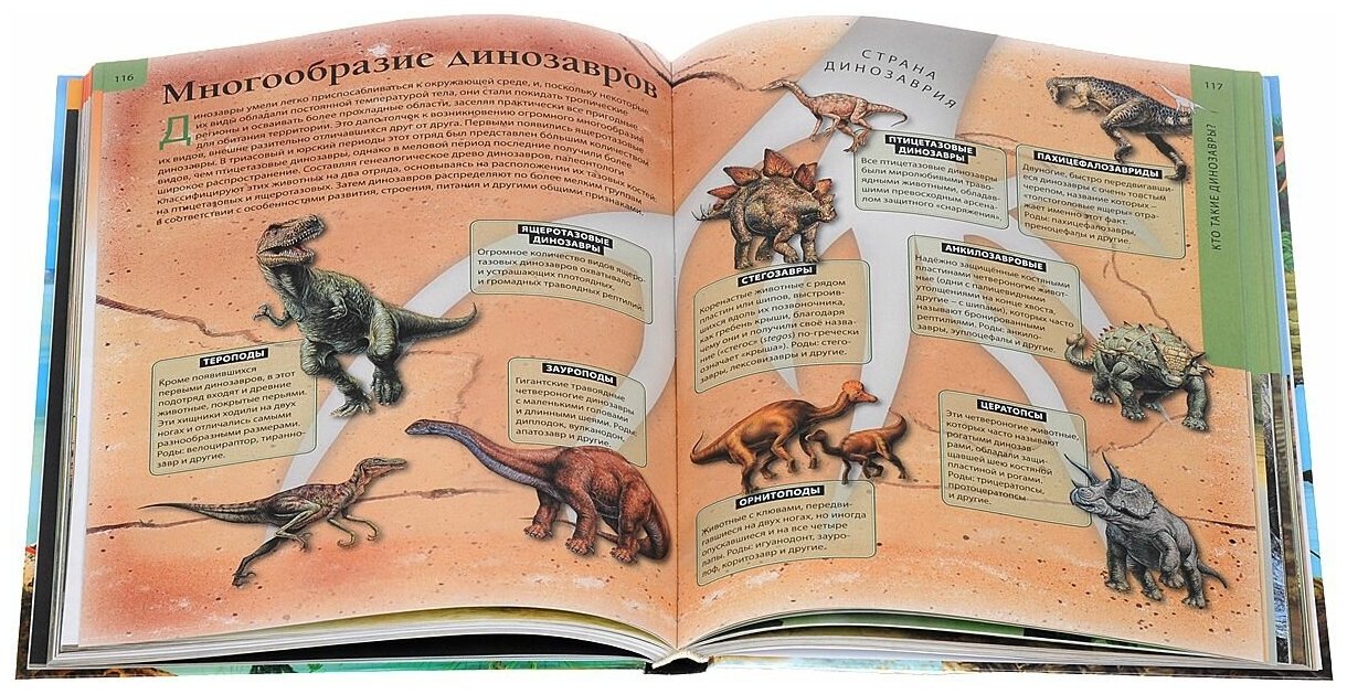 Детская энциклопедия динозавров - фото №3