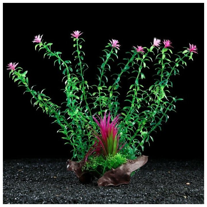 Растение искусственное аквариумное на платформе в виде коряги, 30 см, зелёное (1шт.)