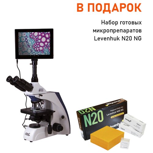 Микроскоп цифровой Levenhuk MED D35T LCD, тринокулярный + Набор микропрепаратов Levenhuk N20 NG, 20 шт. в кейсе