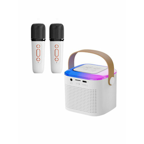 Портативная колонка с микрофоном 217900₽